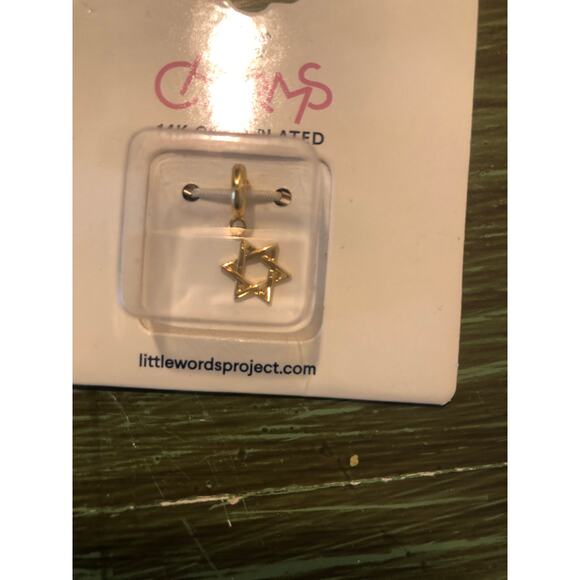 Little Words Project NWT 14k Gold Plated Star of David Charm - Picture 3 of 4